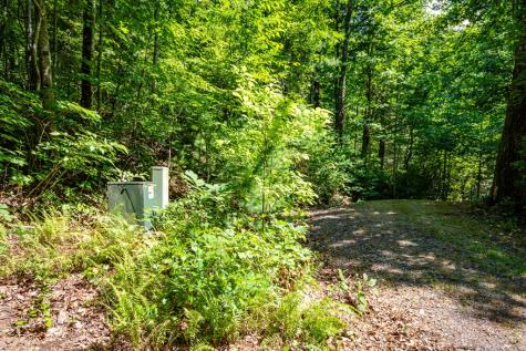 51+ Acre Mountain Cove Way Cherry Log GA 30522