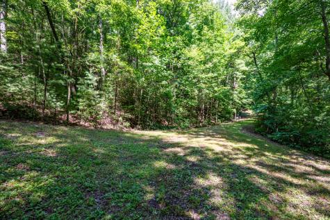 51+ Acre Mountain Cove Way Cherry Log GA 30522