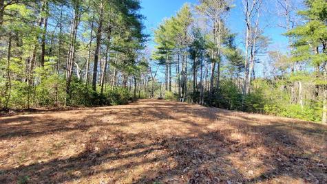 51+ Acre Mountain Cove Way Cherry Log GA 30522