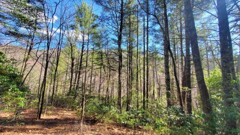51+ Acre Mountain Cove Way Cherry Log GA 30522