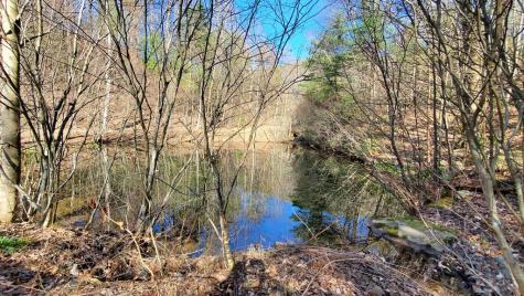 51+ Acre Mountain Cove Way Cherry Log GA 30522