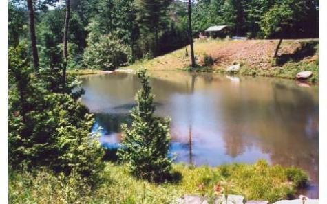 51+ Acre Mountain Cove Way Cherry Log GA 30522