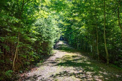 51+ Acre Mountain Cove Way Cherry Log GA 30522