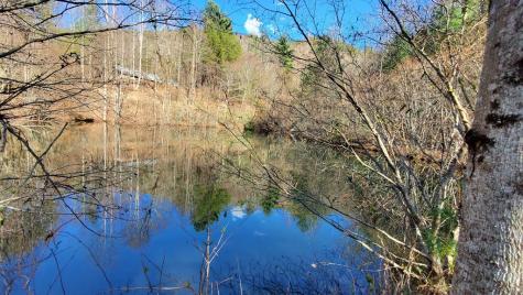 51+ Acre Mountain Cove Way Cherry Log GA 30522