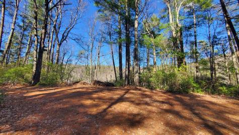 51+ Acre Mountain Cove Way Cherry Log GA 30522