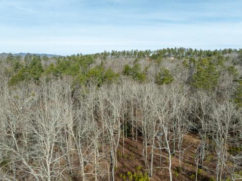 Lot 127 Red Hawk Lane Ellijay GA 30540