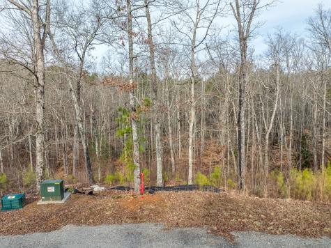 Lot 127 Red Hawk Lane Ellijay GA 30540