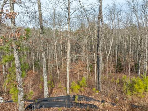 Lot 127 Red Hawk Lane Ellijay GA 30540