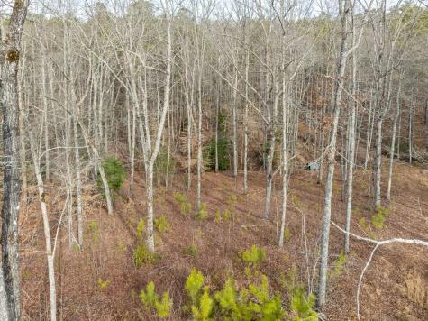 Lot 127 Red Hawk Lane Ellijay GA 30540