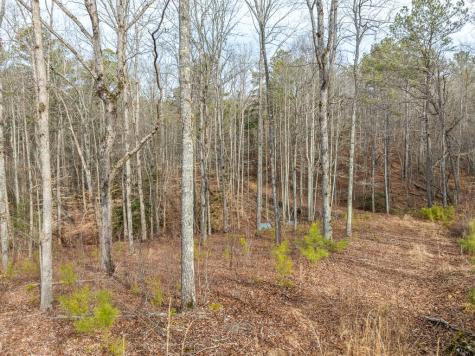 Lot 127 Red Hawk Lane Ellijay GA 30540