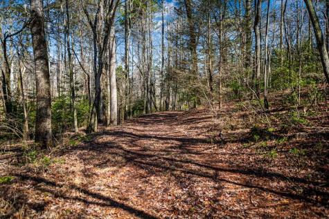 Tract C Captains Cove Blairsville GA 30512