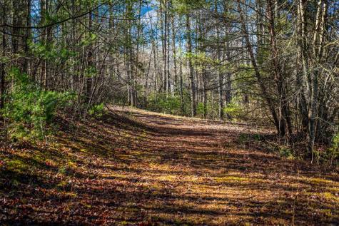 Tract C Captains Cove Blairsville GA 30512