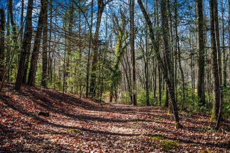 Tract C Captains Cove Blairsville GA 30512