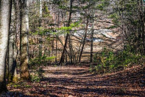 Tract C Captains Cove Blairsville GA 30512