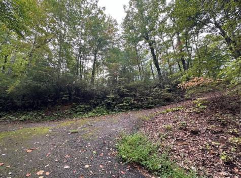 Lot 6 Sequoia Hills Lane Clayton GA 30525