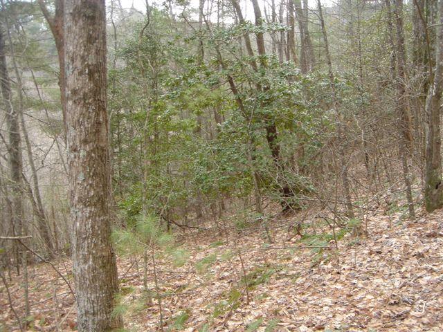 Lot 18 Highland Crossing Blairsville GA 30512