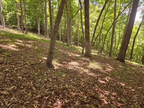 Tr 2 & 3 Settlement Road Young Harris GA 30582