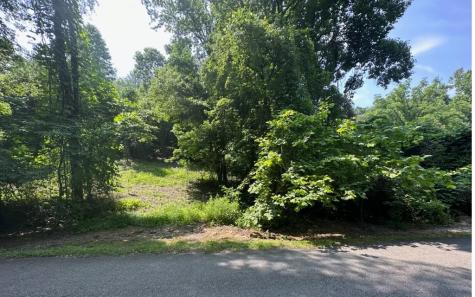 Lot 106 West River Trace Ellijay GA 30536