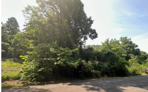 Lot 106 West River Trace Ellijay GA 30536