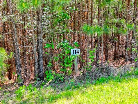 Lot 114 Sandy Lake Lane Blairsville GA 30512