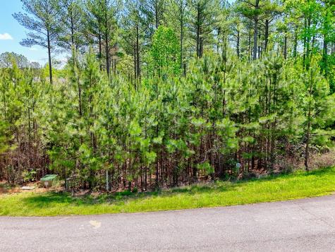 Lot 114 Sandy Lake Lane Blairsville GA 30512