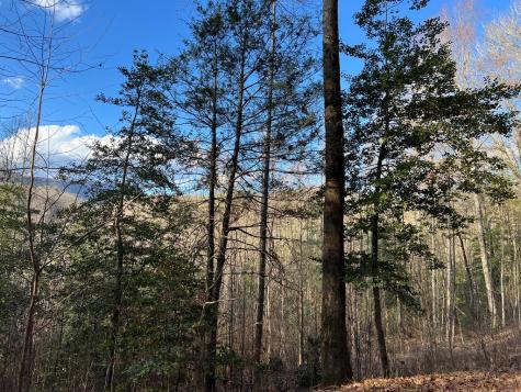 Lot 45 Tusquittee Crossing Hayesville NC 28904