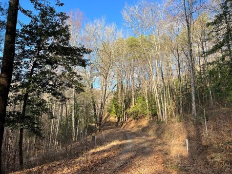 Lot 45 Tusquittee Crossing Hayesville NC 28904