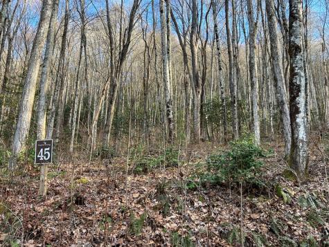 Lot 45 Tusquittee Crossing Hayesville NC 28904