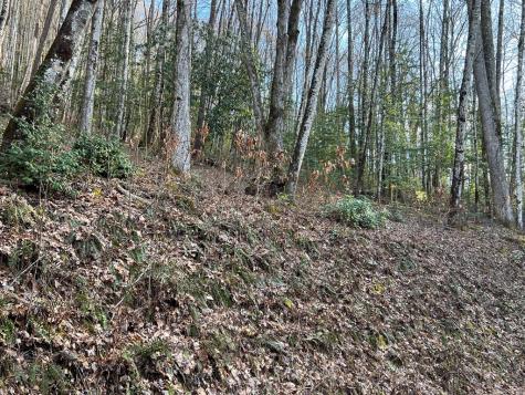 Lot 45 Tusquittee Crossing Hayesville NC 28904