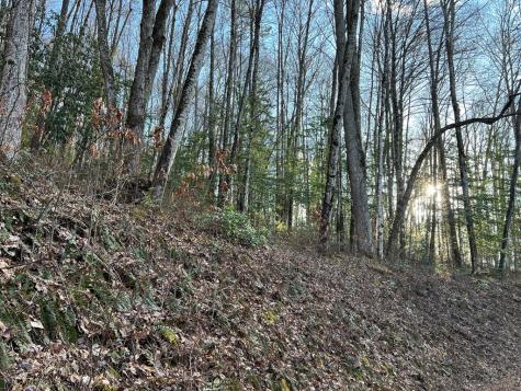 Lot 45 Tusquittee Crossing Hayesville NC 28904