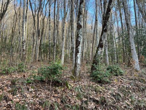 Lot 45 Tusquittee Crossing Hayesville NC 28904