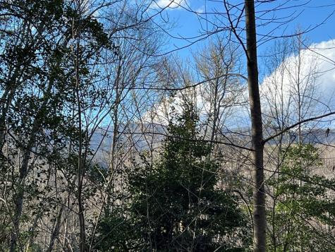 Lot 45 Tusquittee Crossing Hayesville NC 28904