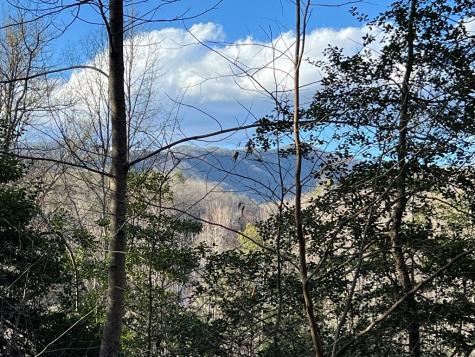 Lot 45 Tusquittee Crossing Hayesville NC 28904