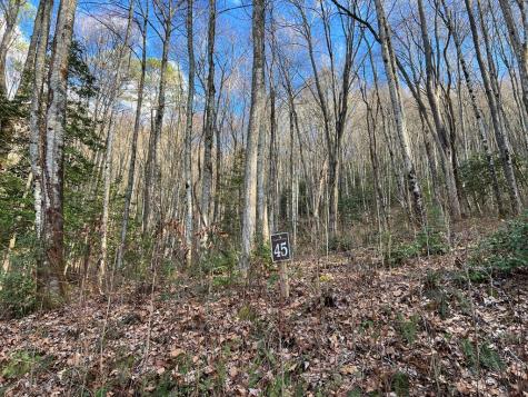 Lot 45 Tusquittee Crossing Hayesville NC 28904