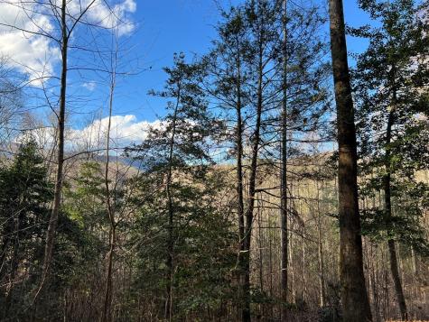 Lot 45 Tusquittee Crossing Hayesville NC 28904