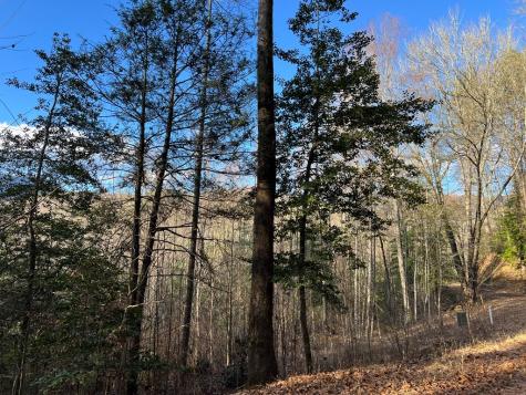 Lot 45 Tusquittee Crossing Hayesville NC 28904