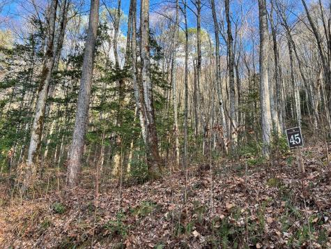 Lot 45 Tusquittee Crossing Hayesville NC 28904