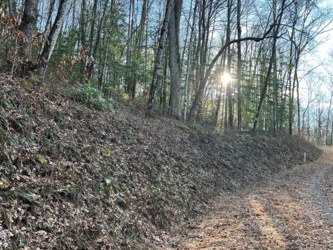 Lot 45 Tusquittee Crossing Hayesville NC 28904