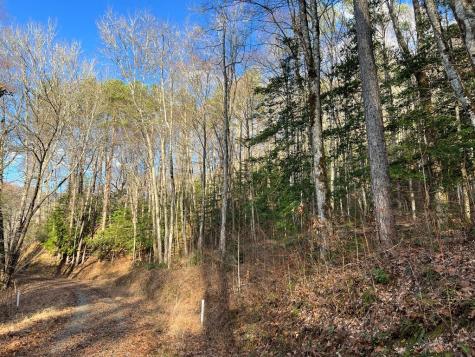 Lot 45 Tusquittee Crossing Hayesville NC 28904