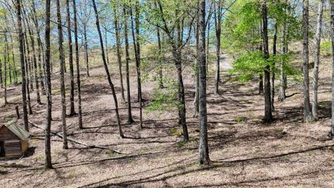 641 Windy Ridge Road Blue Ridge GA 30513