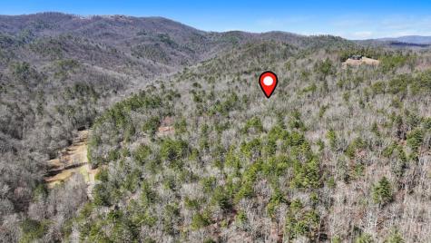 11.1 Ac. Stevens Ridge Road Ellijay GA 30540
