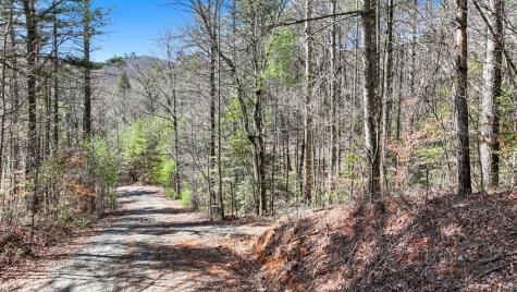 11.1 Ac. Stevens Ridge Road Ellijay GA 30540