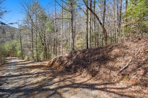 11.1 Ac. Stevens Ridge Road Ellijay GA 30540