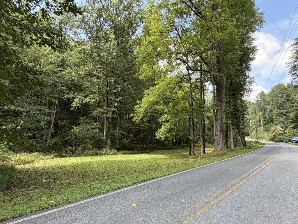 6.13 Ac Lucius Road Cherry Log GA 30522