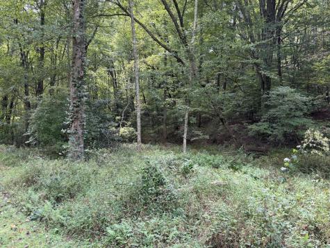 6.13 Ac Lucius Road Cherry Log GA 30522