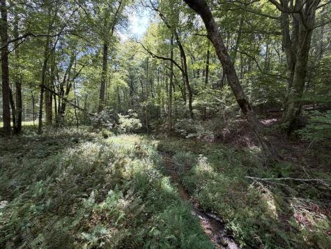6.13 Ac Lucius Road Cherry Log GA 30522