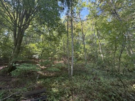 6.13 Ac Lucius Road Cherry Log GA 30522