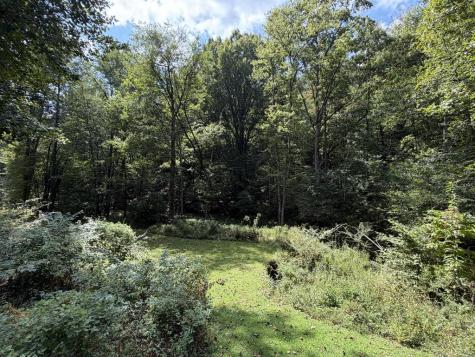 6.13 Ac Lucius Road Cherry Log GA 30522