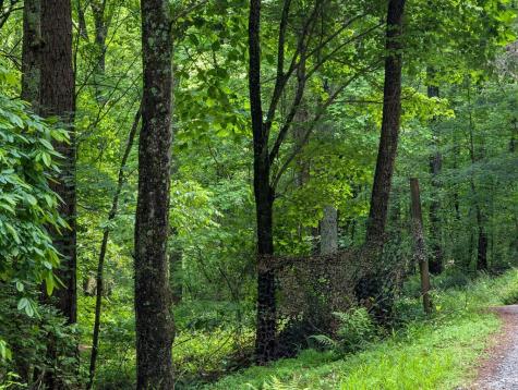 00 Wildwood Trail Ellijay GA 30540