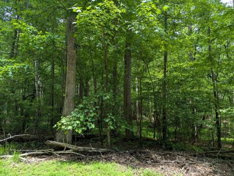 00 Wildwood Trail Ellijay GA 30540